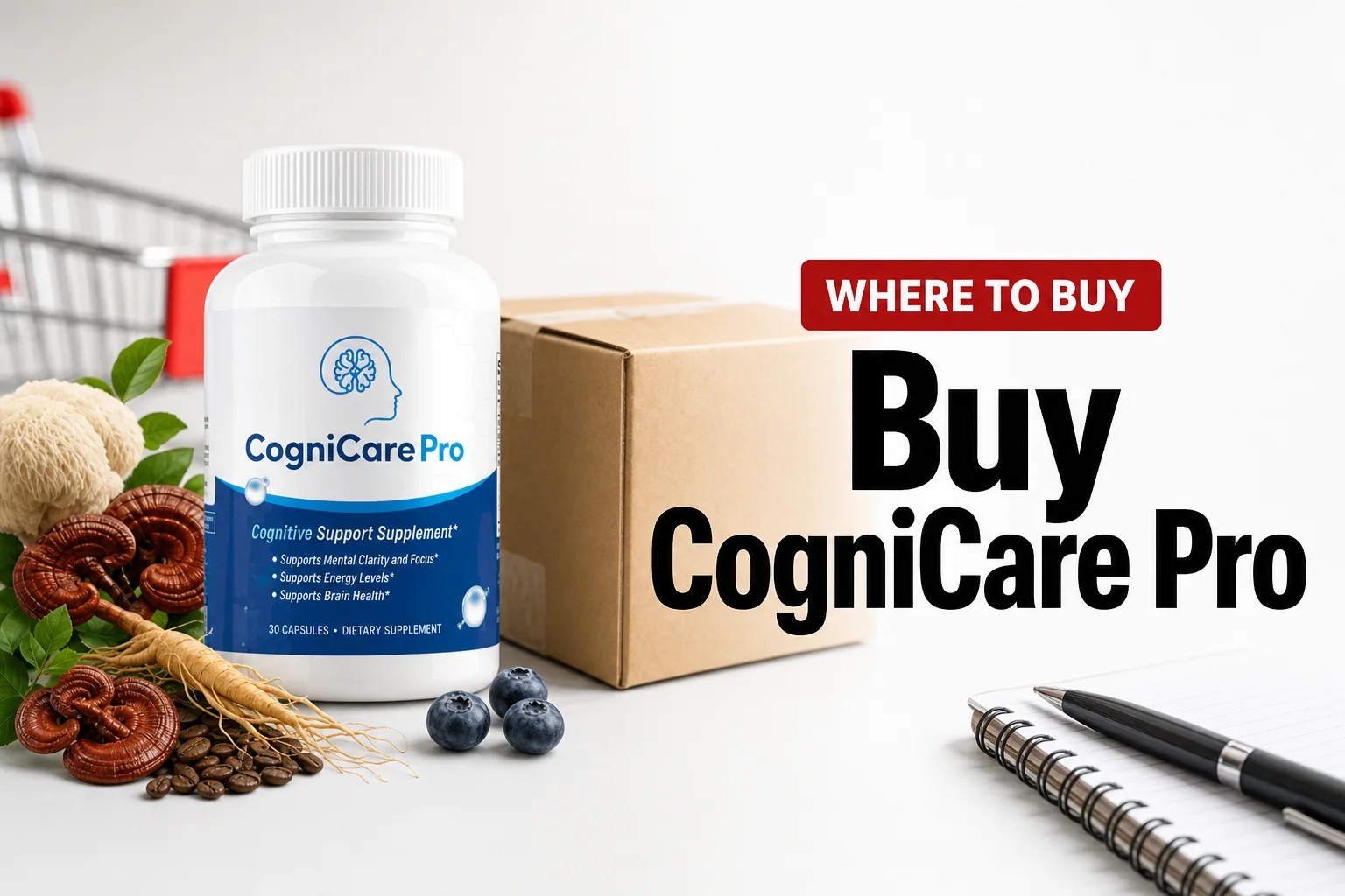 Buy CogniCare Pro review thumbnail showing official product package and headline